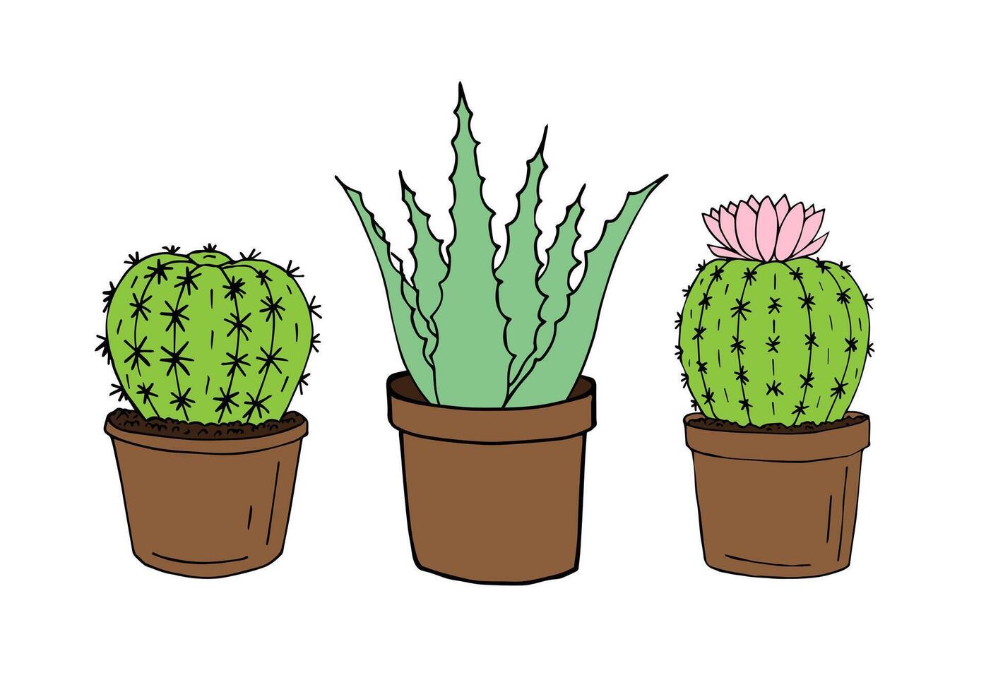 hand drawn doodle set of cactus and aloe vector