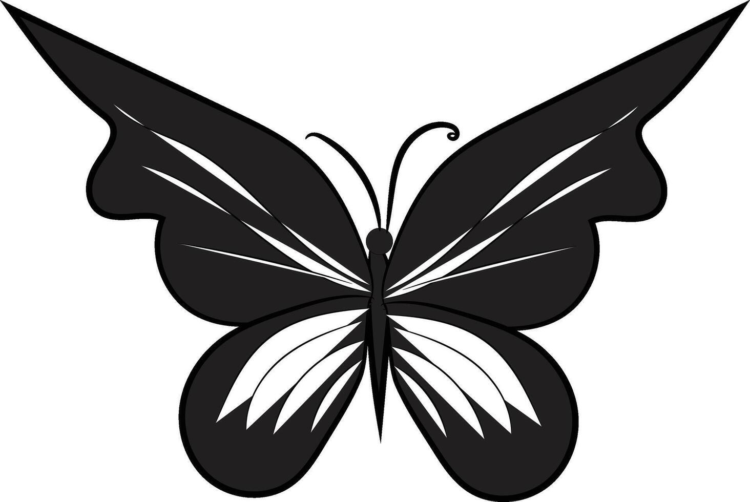 Butterfly outline with drawn vector