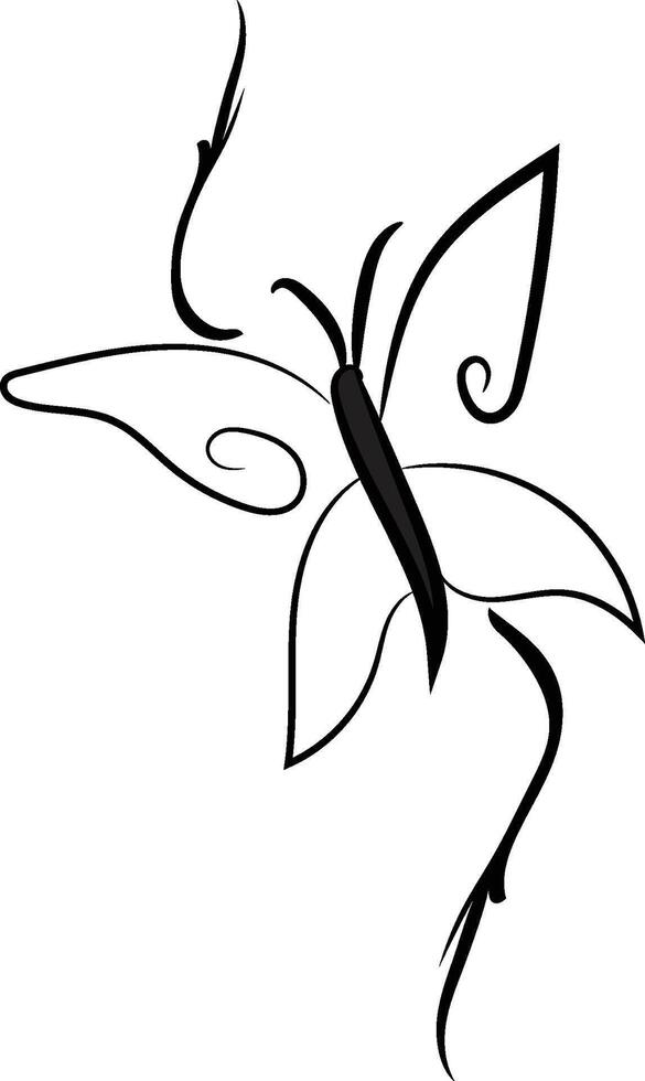 Butterfly outline with drawn vector