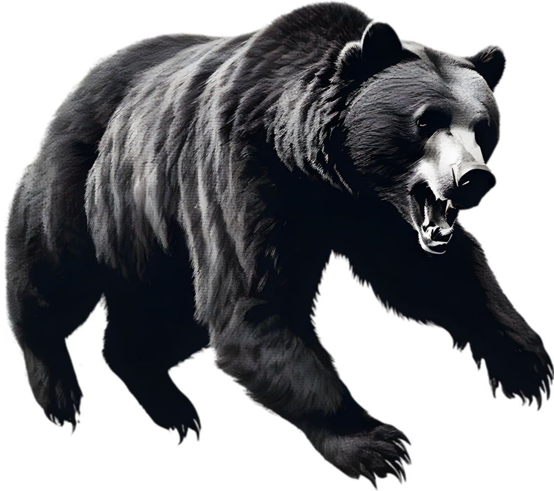 Close-up drawing of a ferocious bear. Ai Generate png