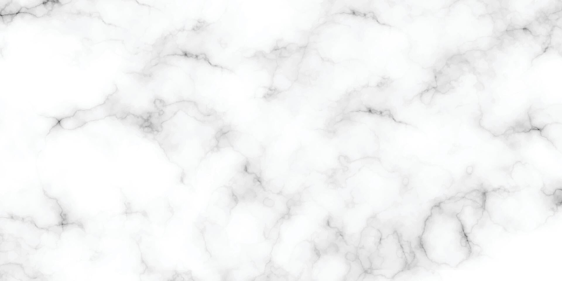 Natural white marble stone texture. Stone ceramic art wall interiors backdrop design. Seamless pattern of tile stone with bright and luxury. White Carrara marble stone texture. vector