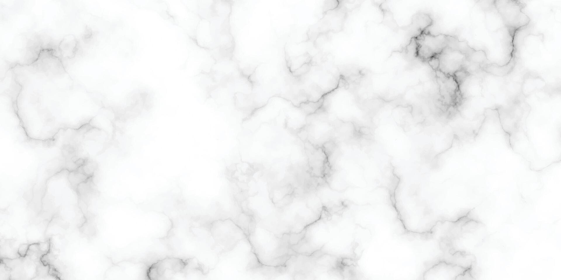 marble granite white panorama background. abstract light elegant black do floor, ceramic texture stone slab. marble texture background with high resolution. vector