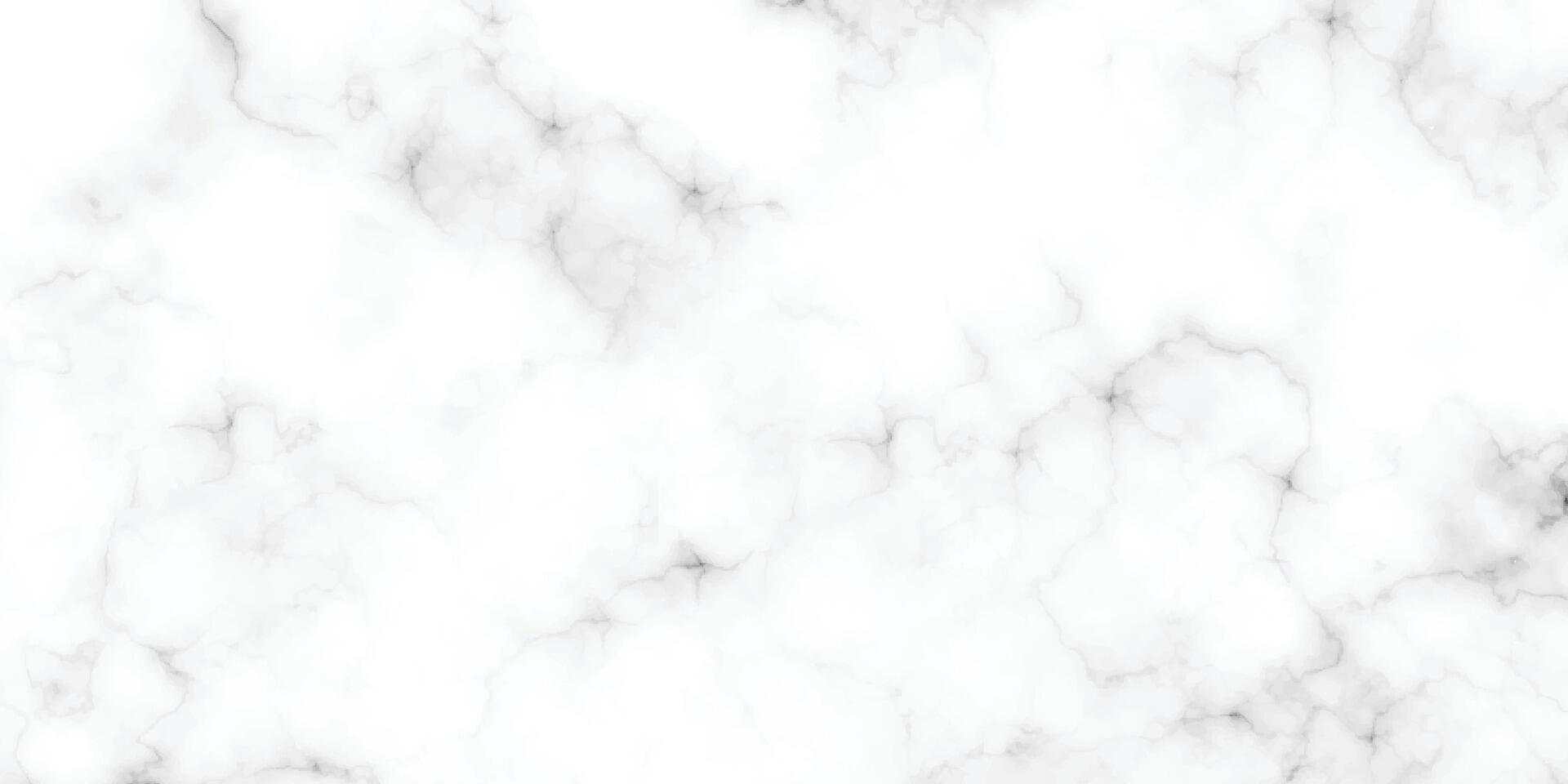 panoramic white marble stone texture. white marble texture background. high-resolution white Carrara marble stone texture vector