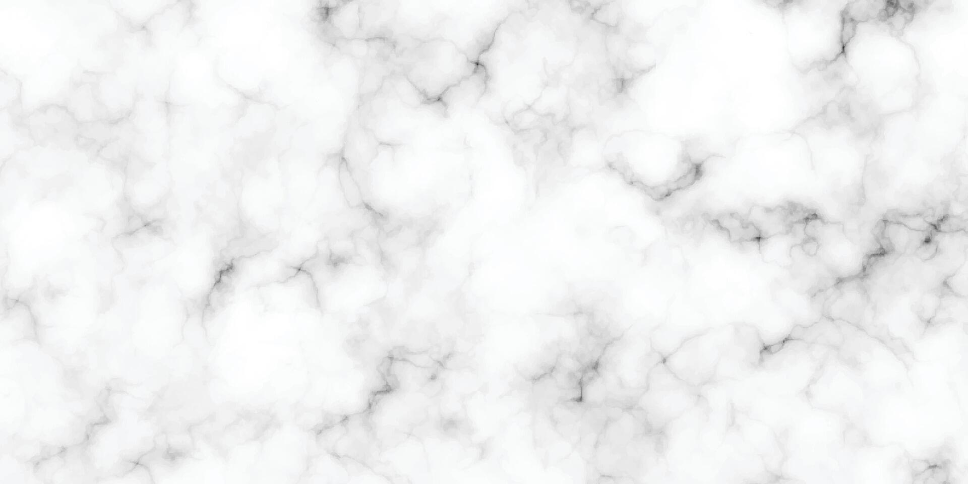 Natural white marble stone texture. Stone ceramic art wall interiors backdrop design. Seamless pattern of tile stone with bright and luxury. White Carrara marble stone texture. vector
