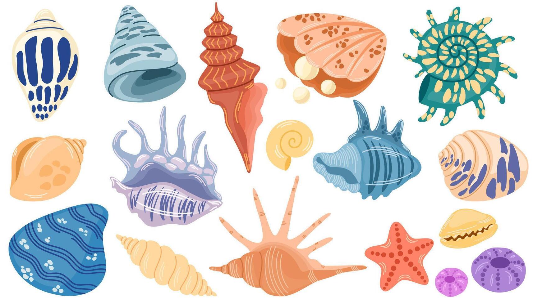 Sea shells set, mollusks, starfish. Trendy flat illustration of seashells collection isolated on white for stickers. vector