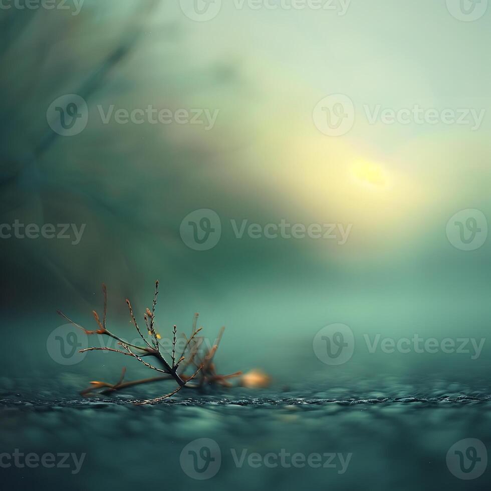A thorn on the asphalt, blurred background of grass and sky, soft light, closeup, shallow depth of field, macro lens, focus on the branch with blurry road in the distance. photo