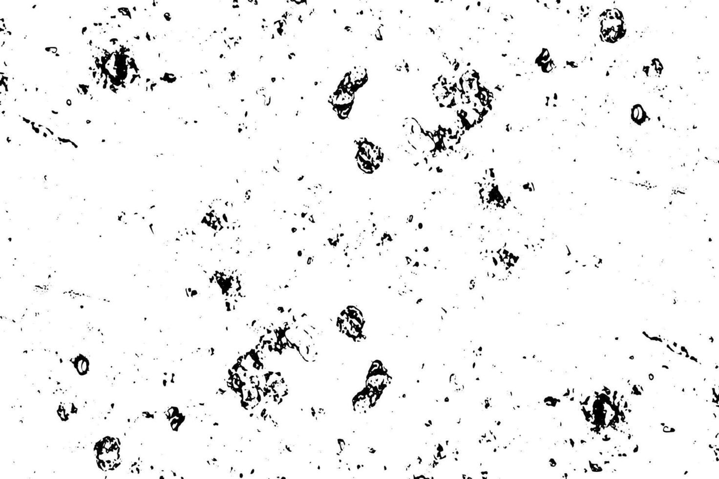 Black and white distressed grunge overlay texture . Abstract pattern of monochrome elements, Grunge black white background. vector