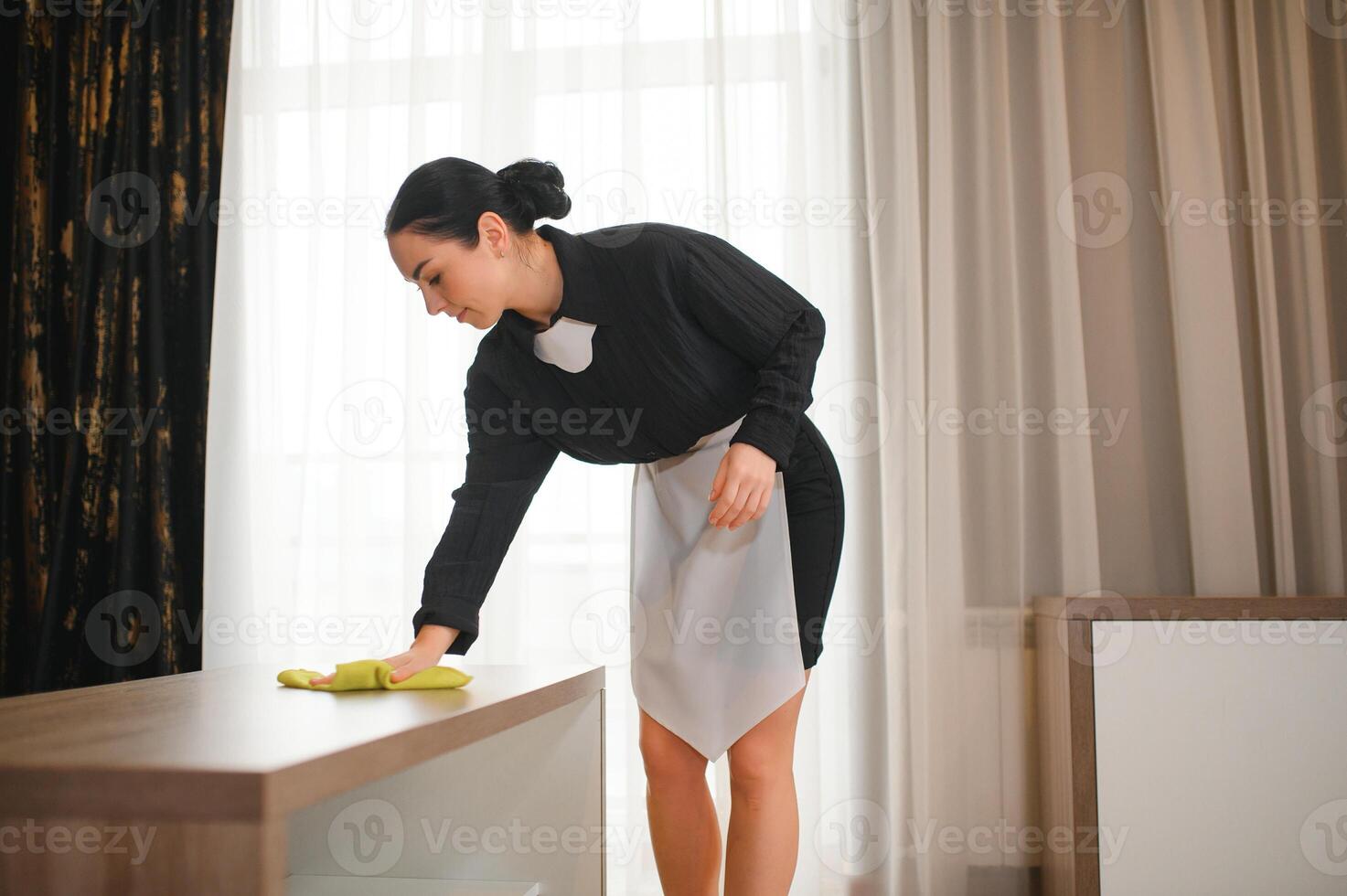 Duster being used by a professional chambermaid photo