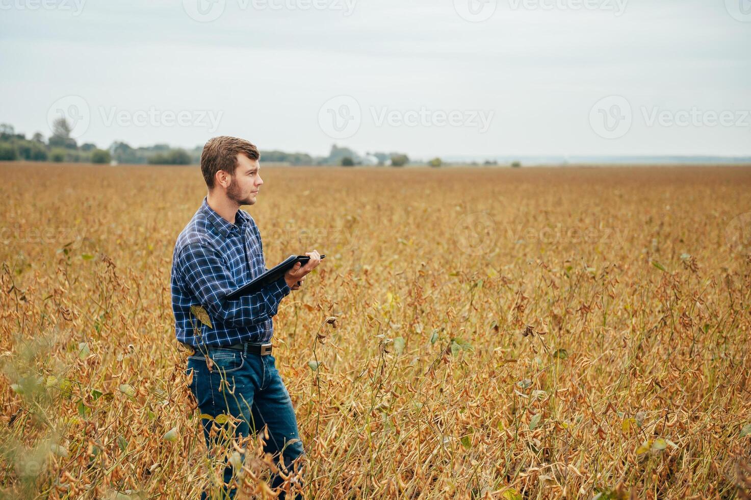Agronomist holds tablet touch pad computer in the soy field and examining crops before harvesting. Agribusiness concept. agricultural engineer standing in a soy field with a tablet. photo