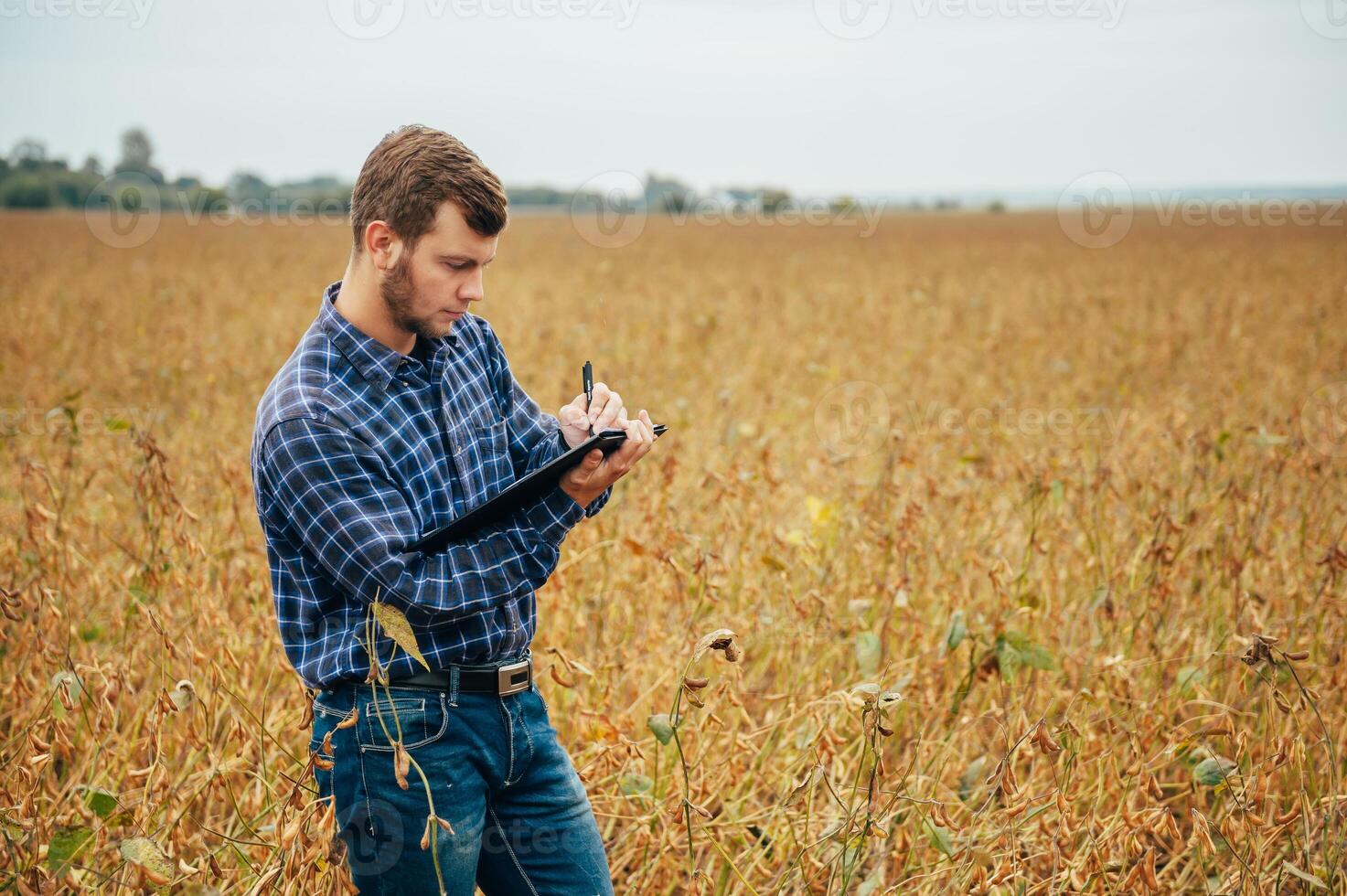 Agronomist holds tablet touch pad computer in the soy field and examining crops before harvesting. Agribusiness concept. agricultural engineer standing in a soy field with a tablet. photo