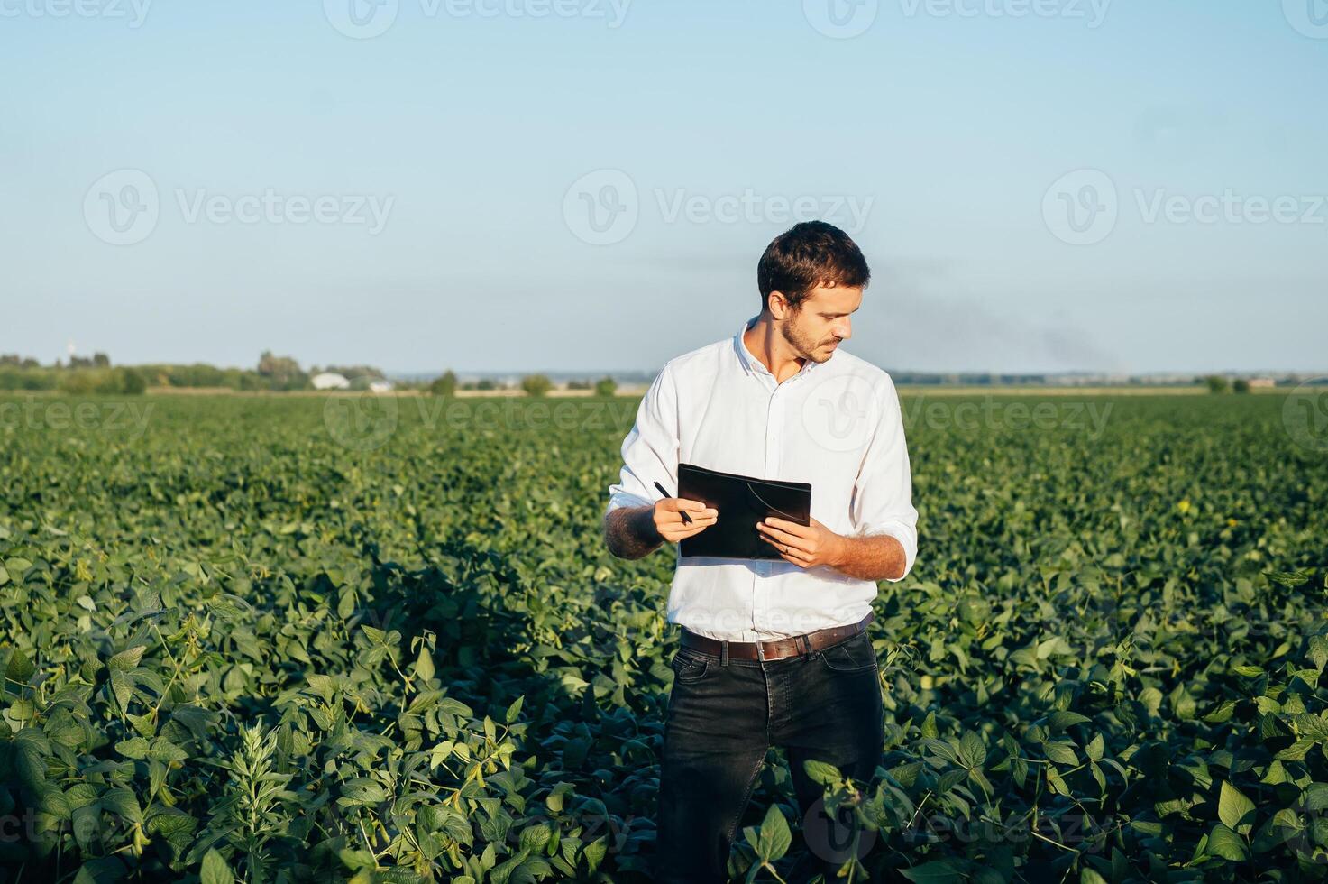 Agronomist holds tablet touch pad computer in the soy field and examining crops before harvesting. Agribusiness concept. agricultural engineer standing in a soy field with a tablet in summer. photo