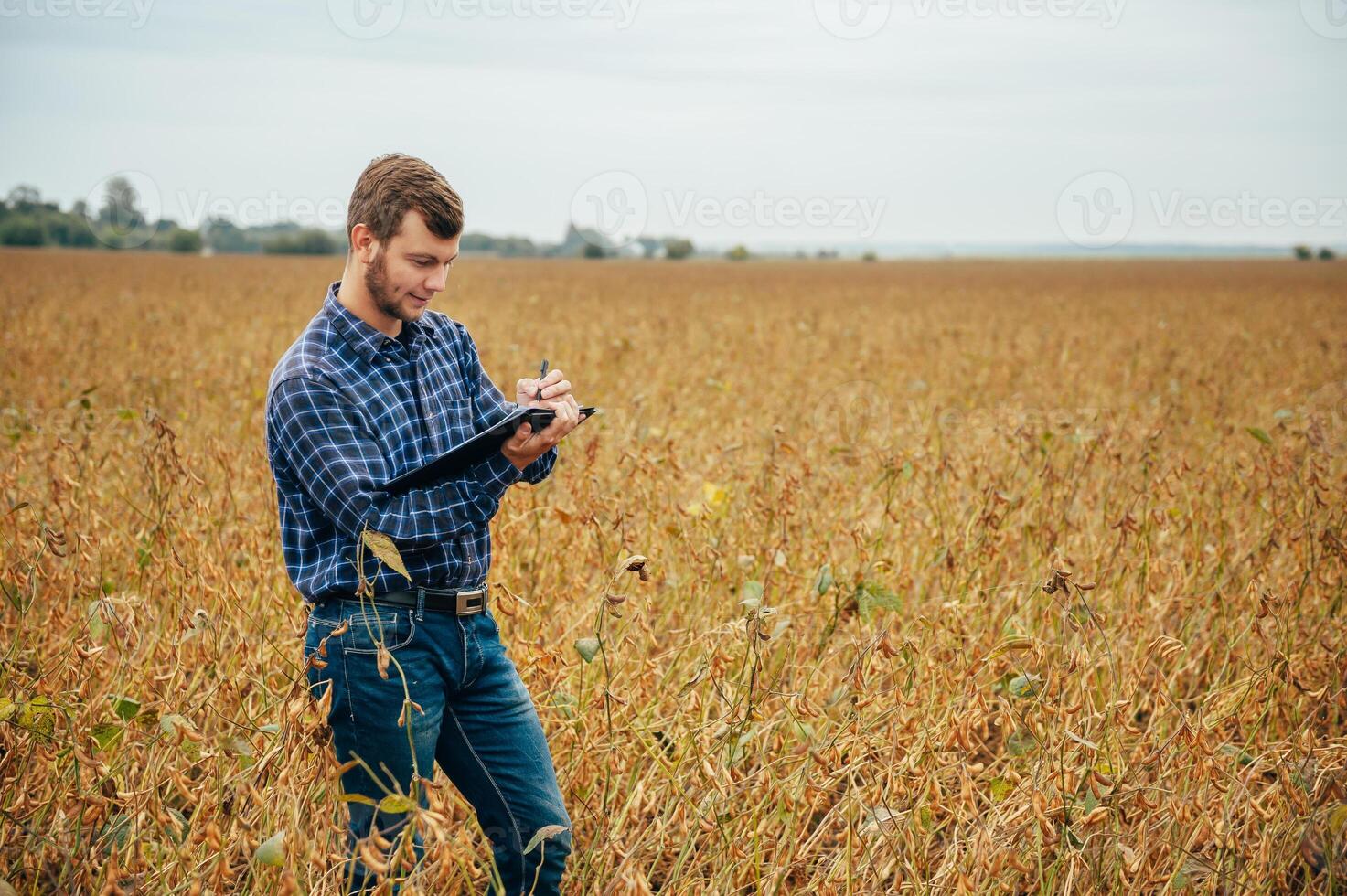 Agronomist holds tablet touch pad computer in the soy field and examining crops before harvesting. Agribusiness concept. agricultural engineer standing in a soy field with a tablet. photo