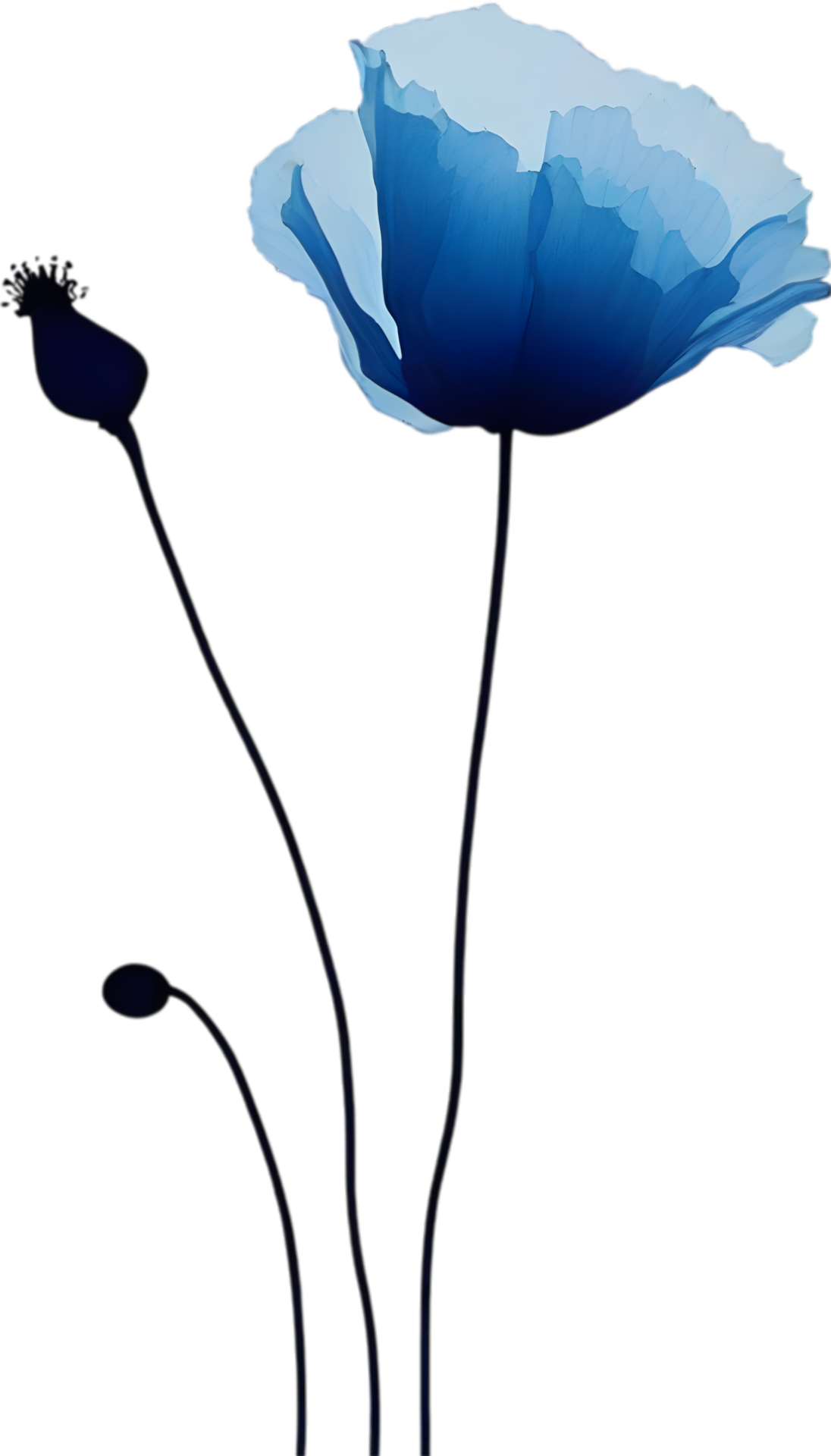 Close up painting of poppy flowers ai generate 43271333 png