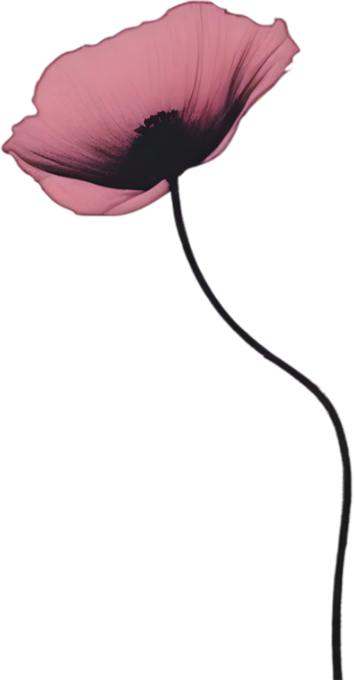 Close-up painting of poppy flowers. Ai Generate png