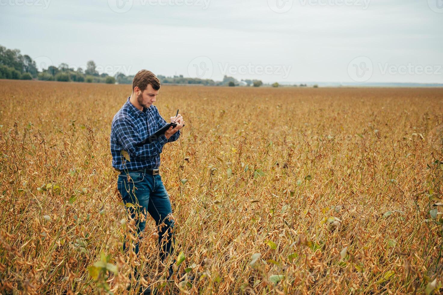 Agronomist holds tablet touch pad computer in the soy field and examining crops before harvesting. Agribusiness concept. agricultural engineer standing in a soy field with a tablet. photo