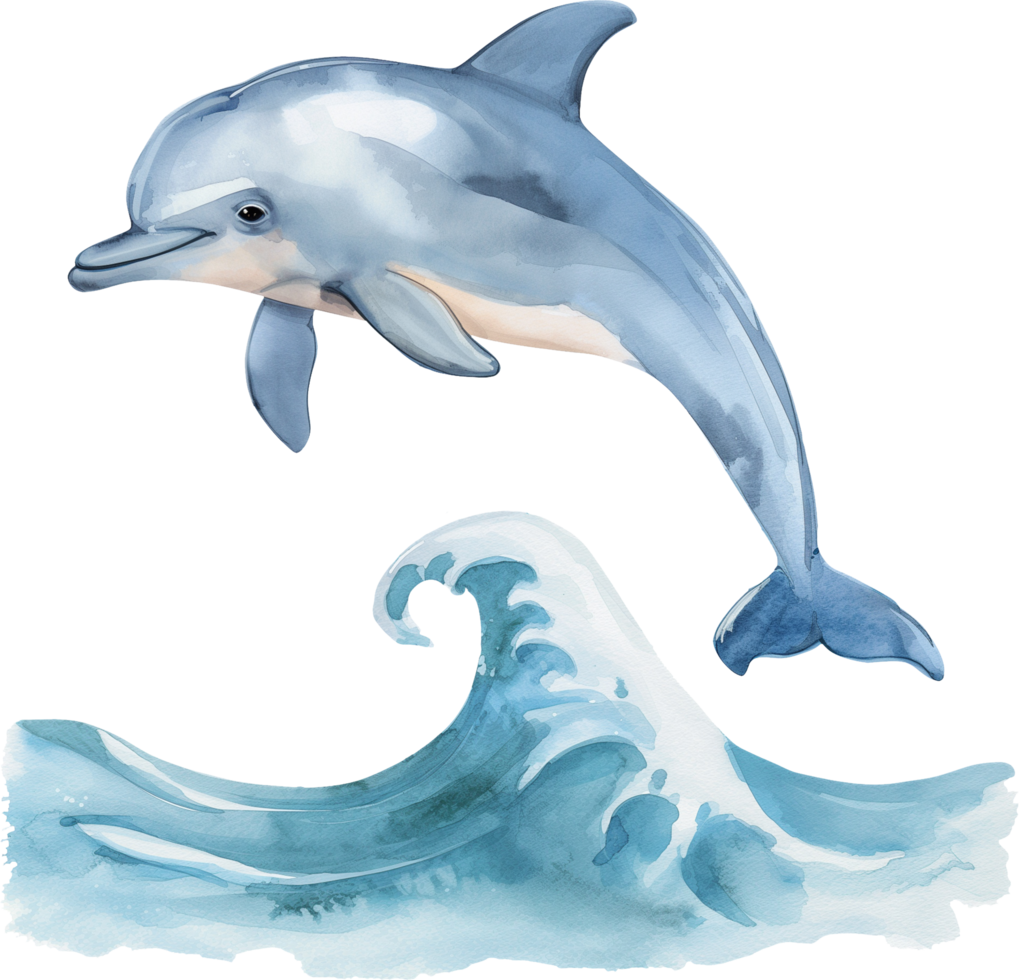 mignonne dauphin sauter vague aquarelle png