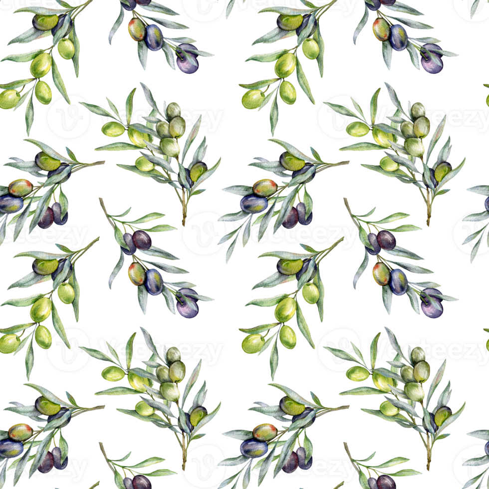 Seamless watercolor olives pattern with olive branches. Olives background for wallpapers, postcards, greeting cards, wedding invites, textile, events. Floral Watercolor png