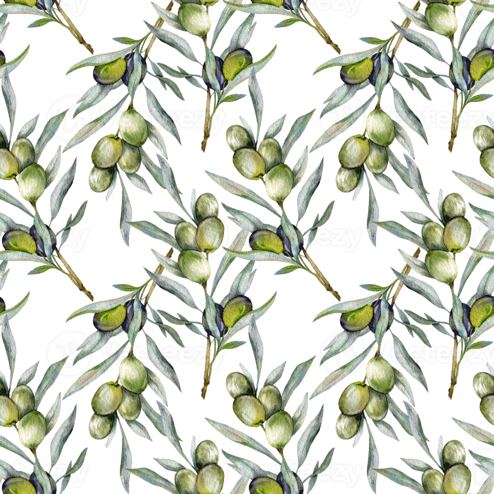 Seamless watercolor olives pattern with olive branches. Olives background for wallpapers, postcards, greeting cards, wedding invites, textile, events. Floral Watercolor png