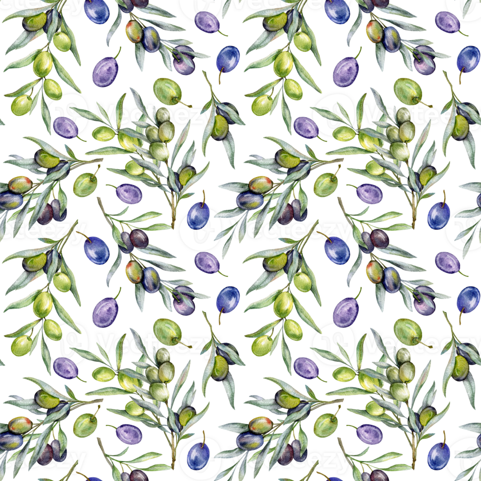 Seamless watercolor olives pattern with olive branches. Olives background for wallpapers, postcards, greeting cards, wedding invites, textile, events. Floral Watercolor png