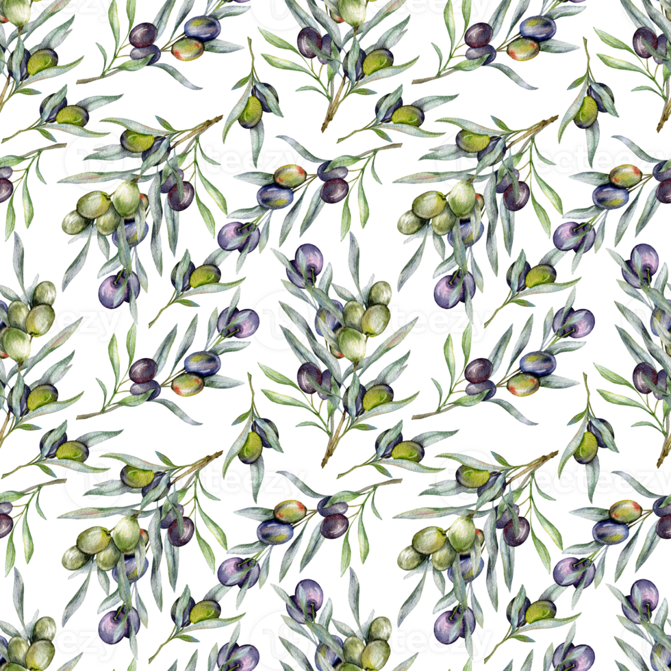 naadloos waterverf olijven patroon met olijf- takken. olijven achtergrond voor achtergronden, ansichtkaarten, groet kaarten, bruiloft nodigt uit, textiel, evenementen. bloemen waterverf png