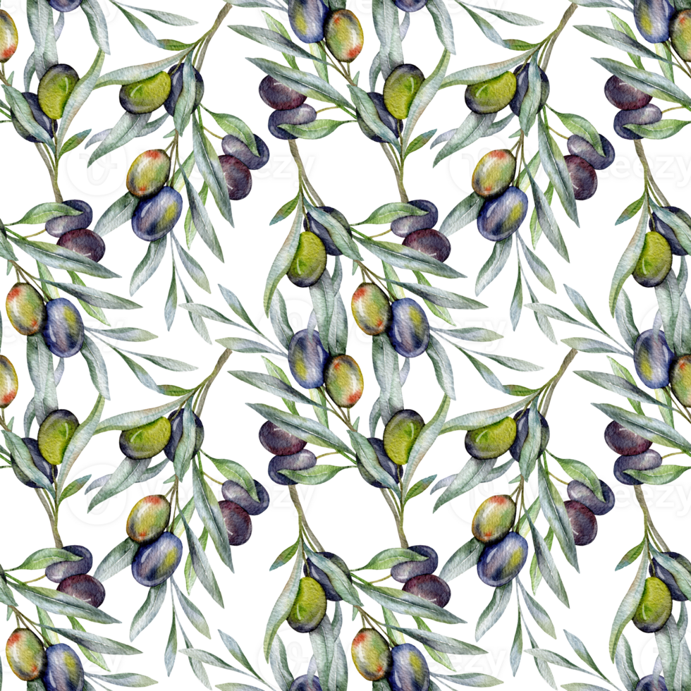 Seamless watercolor olives pattern with olive branches. Olives background for wallpapers, postcards, greeting cards, wedding invites, textile, events. Floral Watercolor png