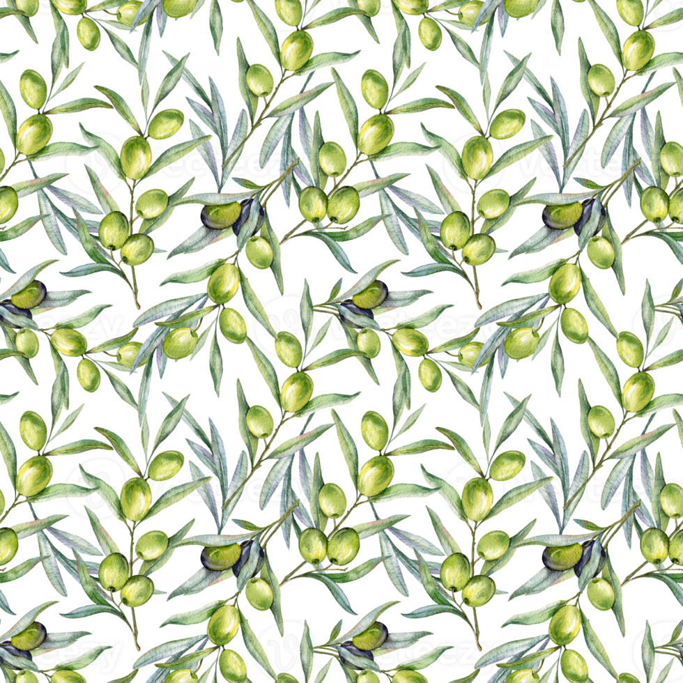 Seamless watercolor olives pattern with olive branches. Olives background for wallpapers, postcards, greeting cards, wedding invites, textile, events. Floral Watercolor png