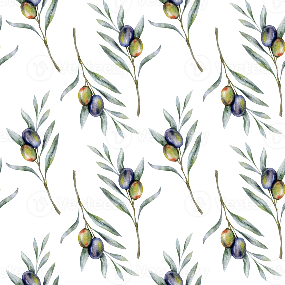 Seamless watercolor olives pattern with olive branches. Olives background for wallpapers, postcards, greeting cards, wedding invites, textile, events. Floral Watercolor png