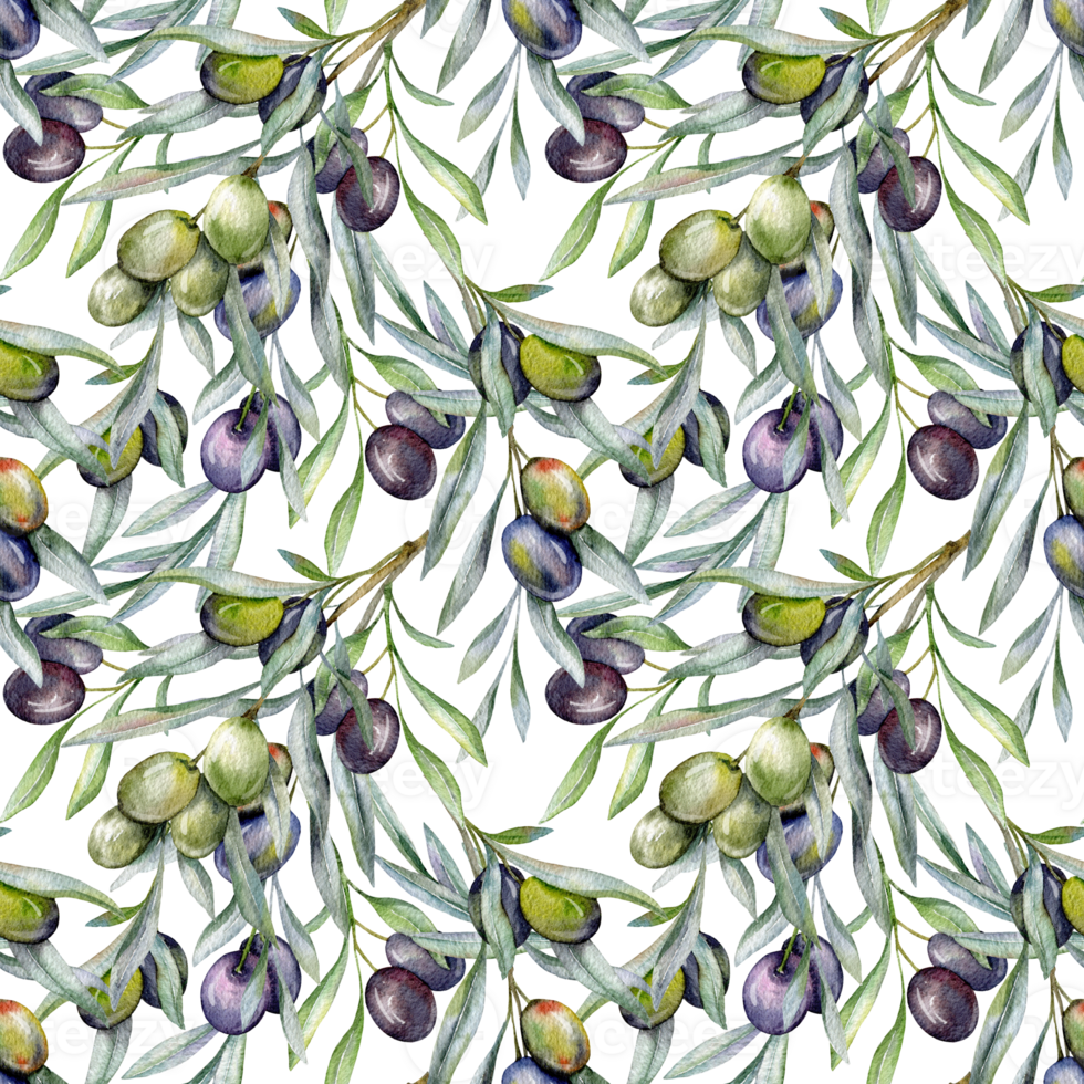 Seamless watercolor olives pattern with olive branches. Olives background for wallpapers, postcards, greeting cards, wedding invites, textile, events. Floral Watercolor png