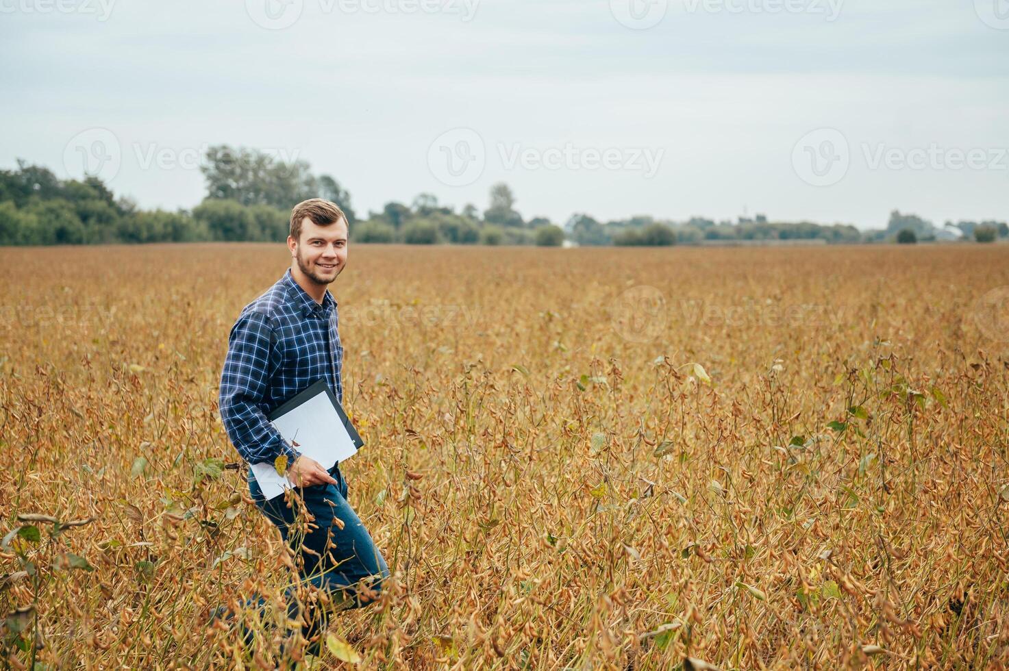 Agronomist holds tablet touch pad computer in the soy field and examining crops before harvesting. Agribusiness concept. agricultural engineer standing in a soy field with a tablet. photo