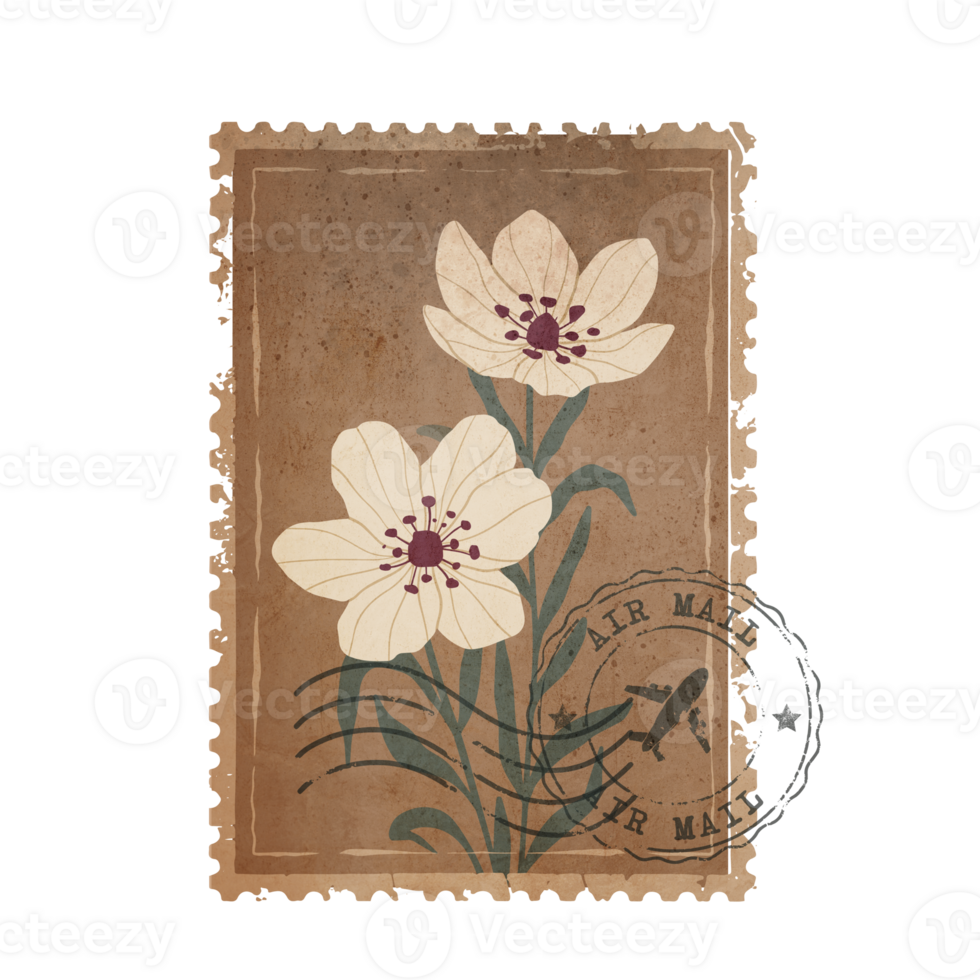 Brown Vintage Botanical Postage Stamp. Old Mail Postmark with Flower Isolated on Transparent Background png