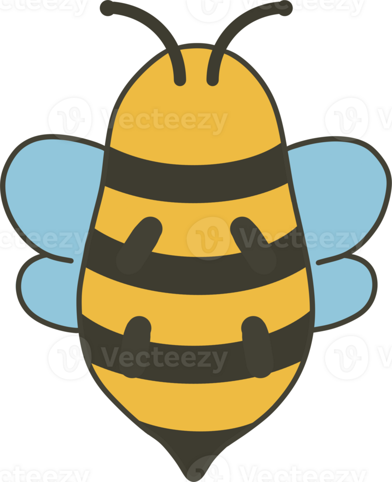Honey Bee Flat Illustration png