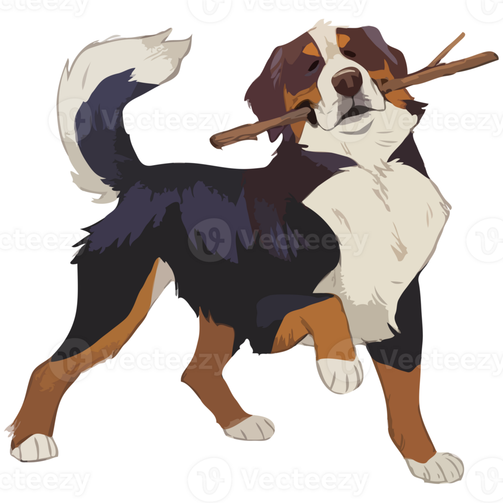 Dog With a Stick png