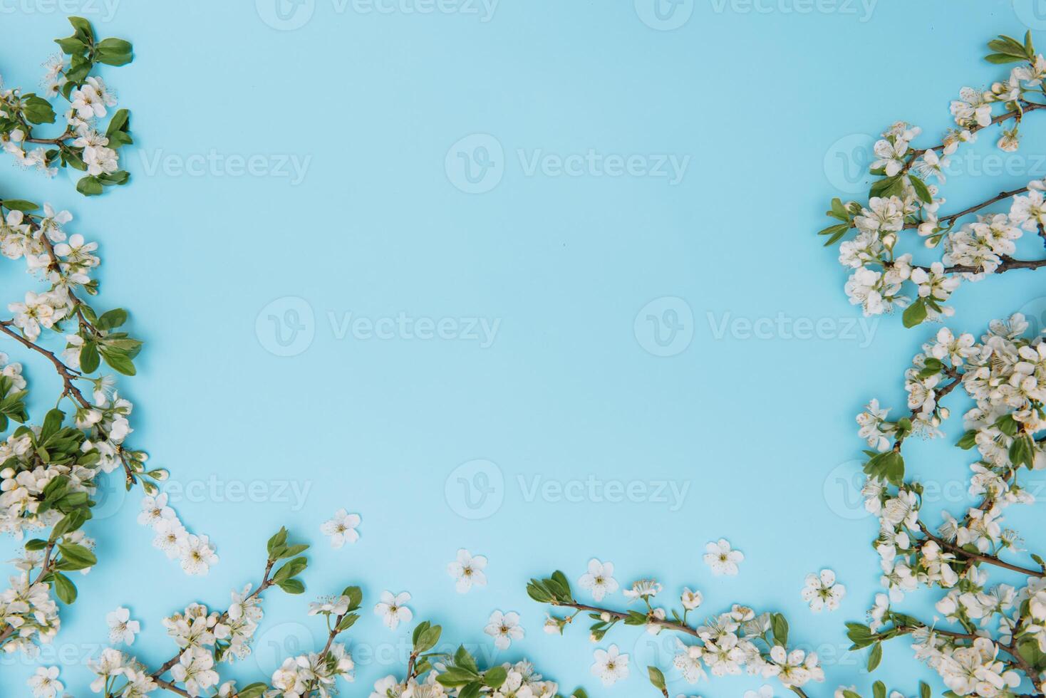 photo of spring white cherry blossom tree on blue background. View from above, flat lay, copy space. Spring and summer background.