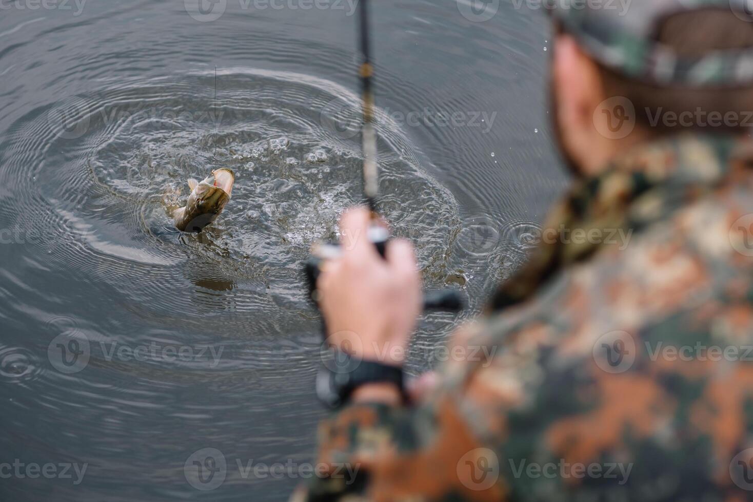 Fishing in river.A fisherman with a fishing rod on the river bank. Man fisherman catches a fish pike.Fishing, spinning reel, fish, Breg rivers. - The concept of a rural getaway. Article about fishing photo