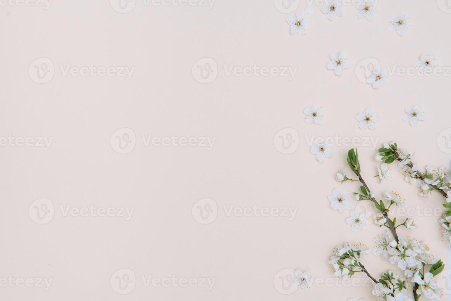 Spring nature background with lovely blossom in yellow pastel color, top view, banner. Springtime concept. photo