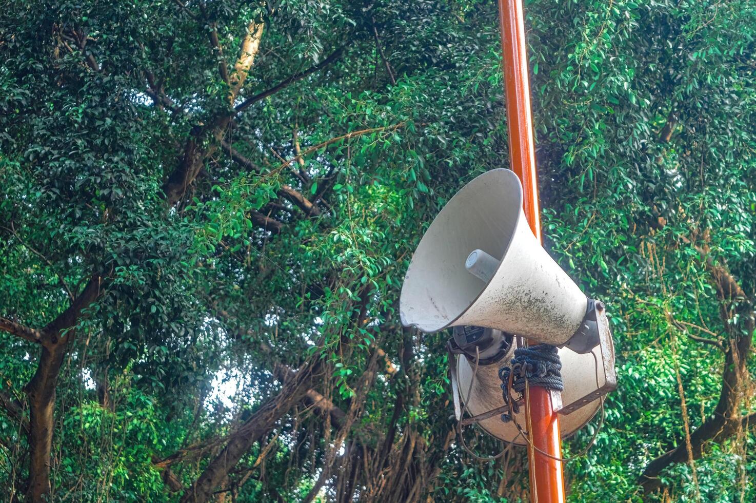 a loudspeaker attached to an iron pole with a backdrop of shady trees photo