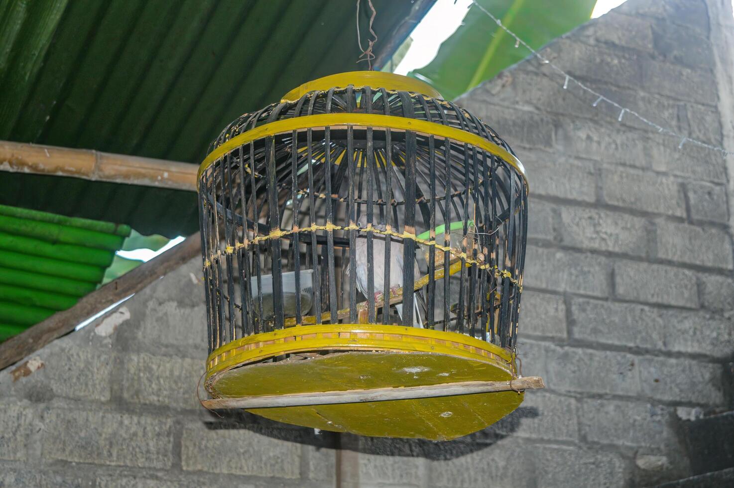 a bird in a hanging wooden cage photo