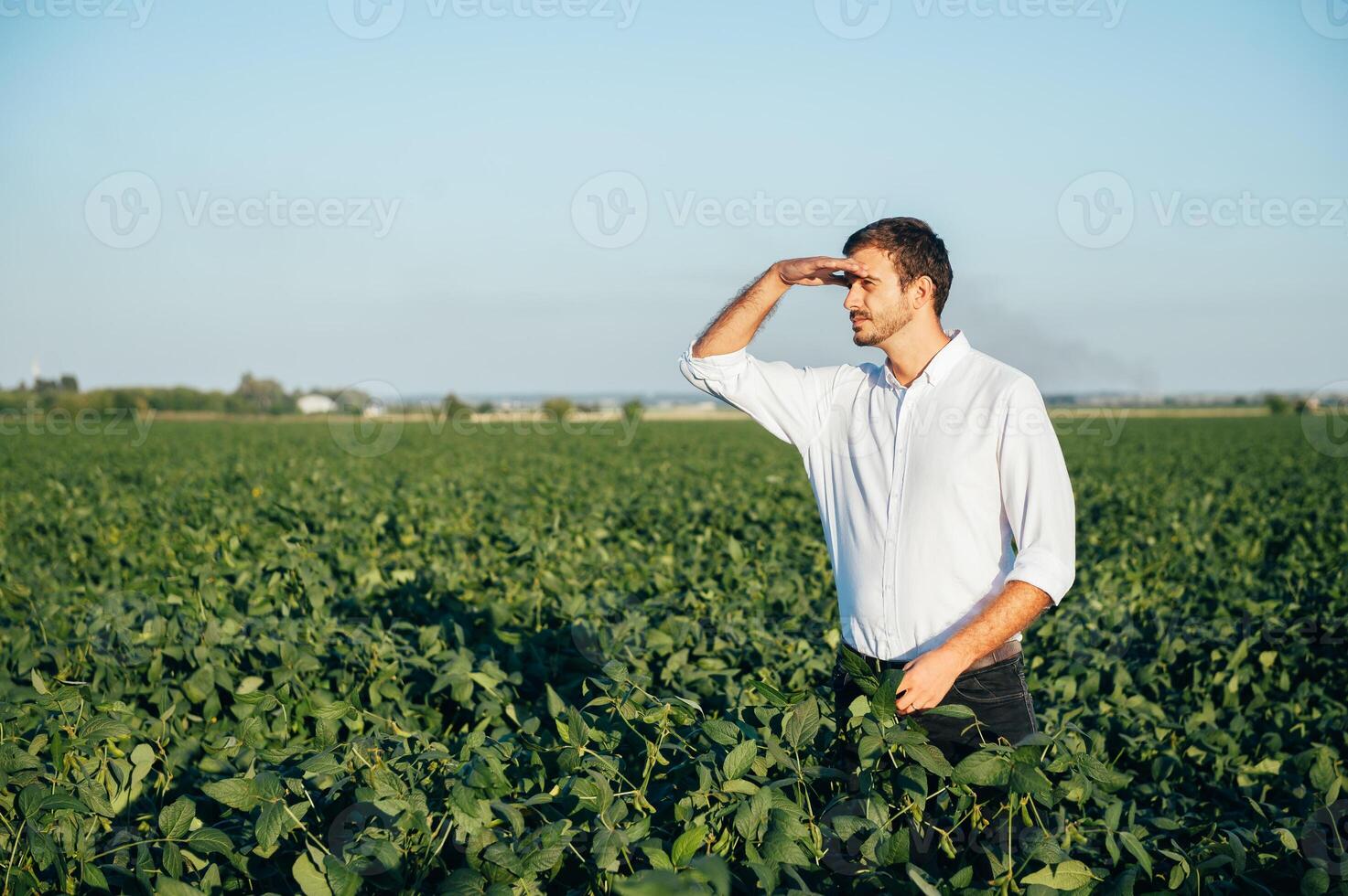Agronomist holds tablet touch pad computer in the soy field and examining crops before harvesting. Agribusiness concept. agricultural engineer standing in a soy field with a tablet in summer. photo