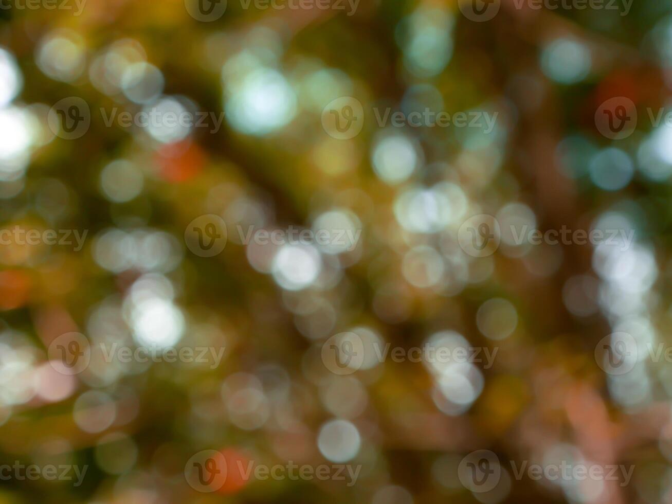 hermosa vistoso reflexiones en un negro antecedentes foto