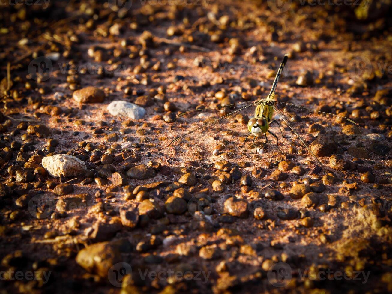 Natural stone texture and surface background. photo