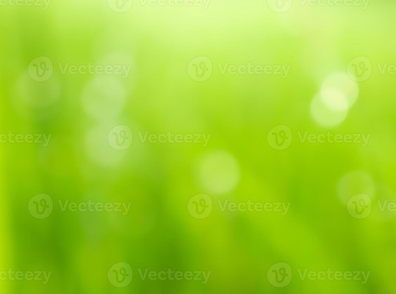 Abstract bokeh out of focus blurred color nature background. photo