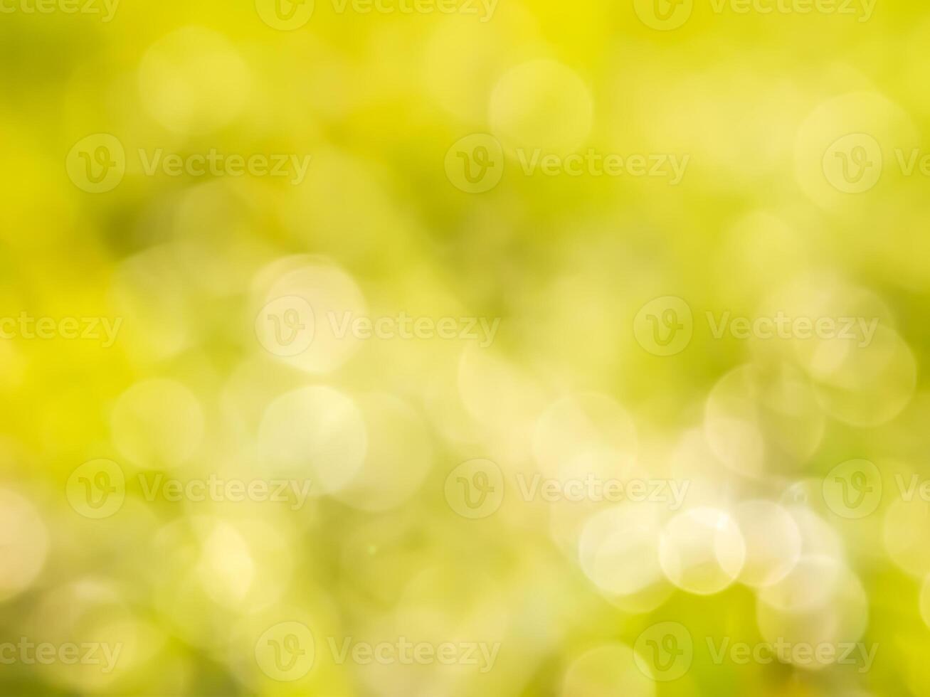 Abstract bokeh out of focus blurred color nature background. photo