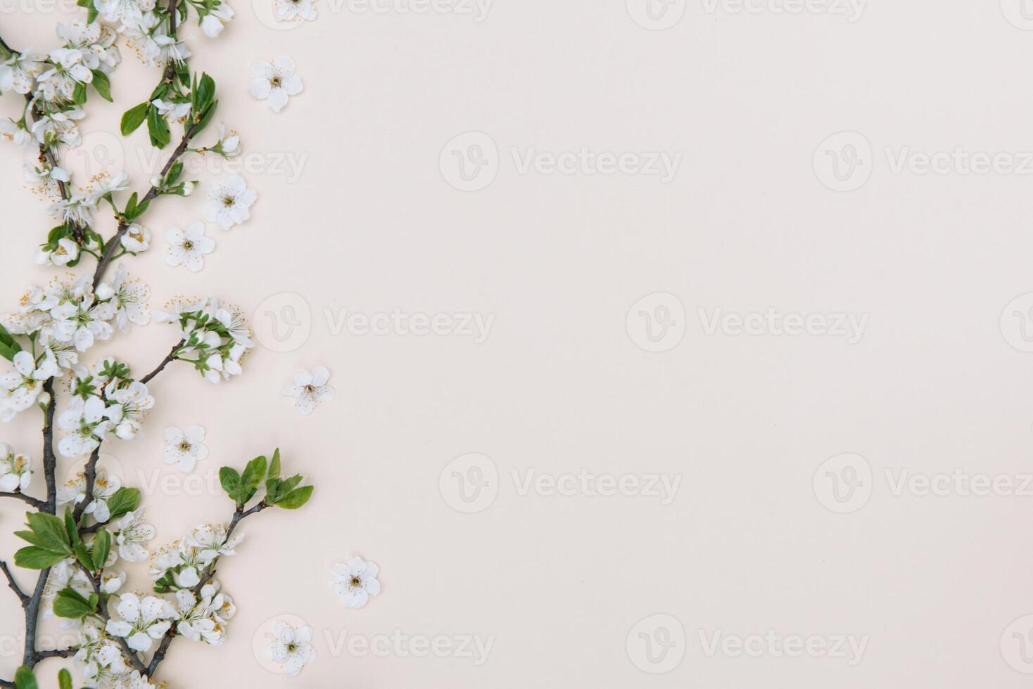 Spring nature background with lovely blossom in yellow pastel color, top view, banner. Springtime concept photo