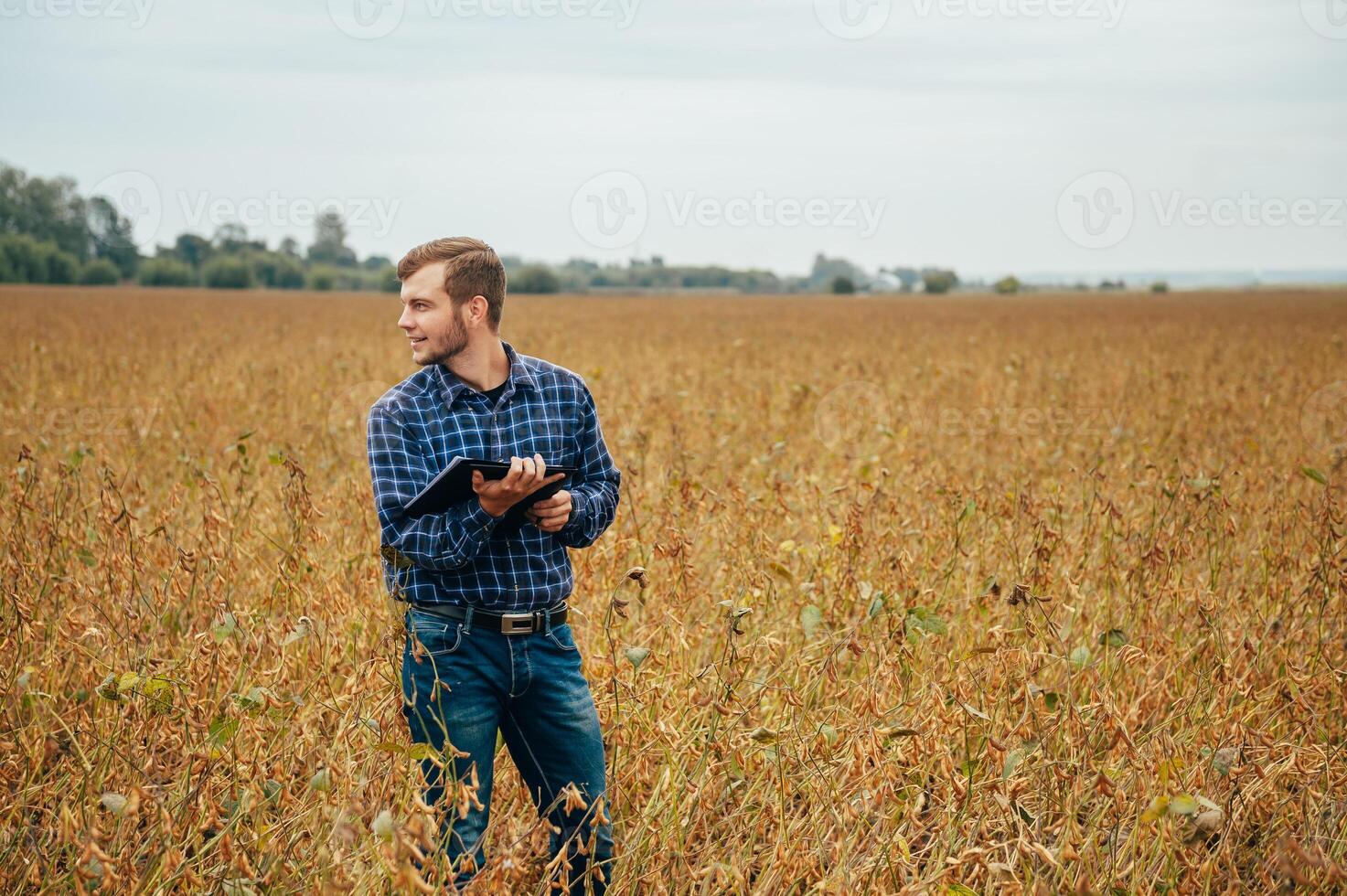 Agronomist holds tablet touch pad computer in the soy field and examining crops before harvesting. Agribusiness concept. agricultural engineer standing in a soy field with a tablet. photo