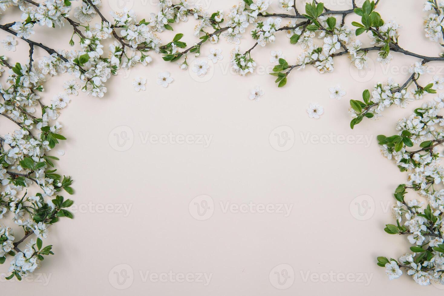 Spring nature background with lovely blossom in yellow pastel color, top view, banner. Springtime concept. photo
