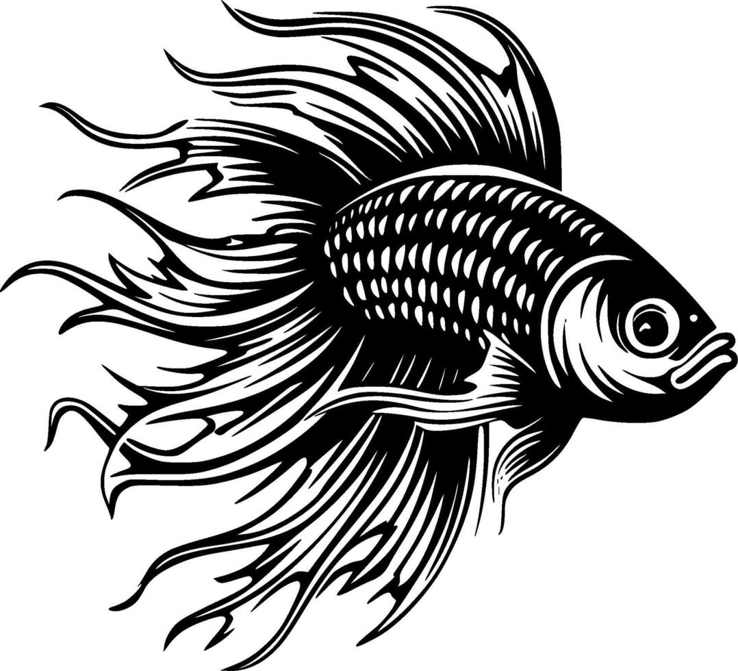 Betta Fish - Black and White Isolated Icon - illustration vector