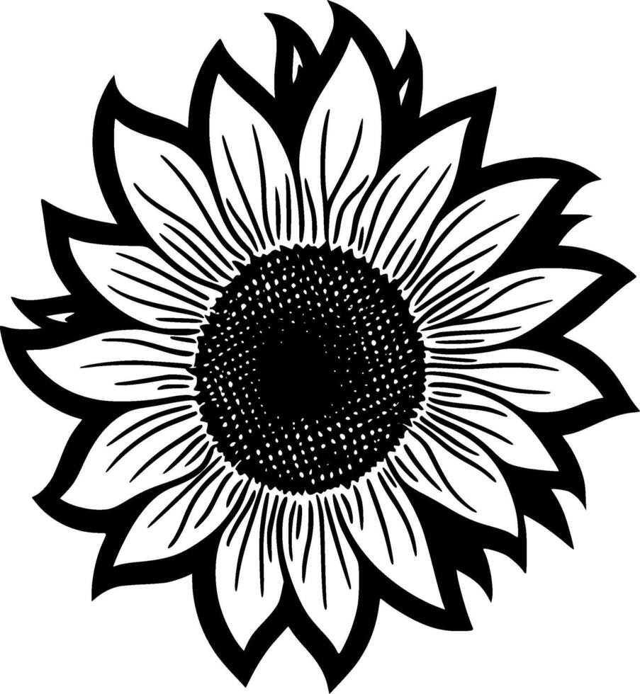 Sunflower, Black and White illustration vector