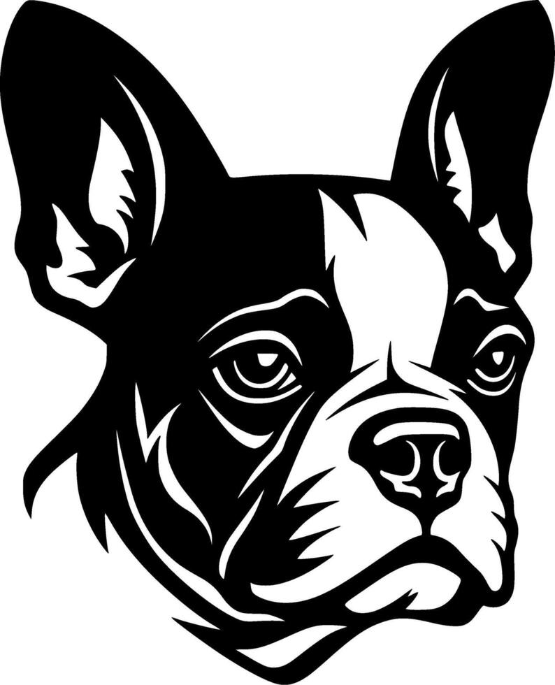 Boston Terrier, Black and White illustration vector