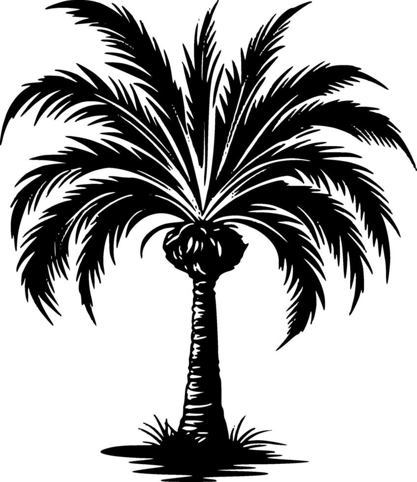 Palm - Black and White Isolated Icon - illustration vector