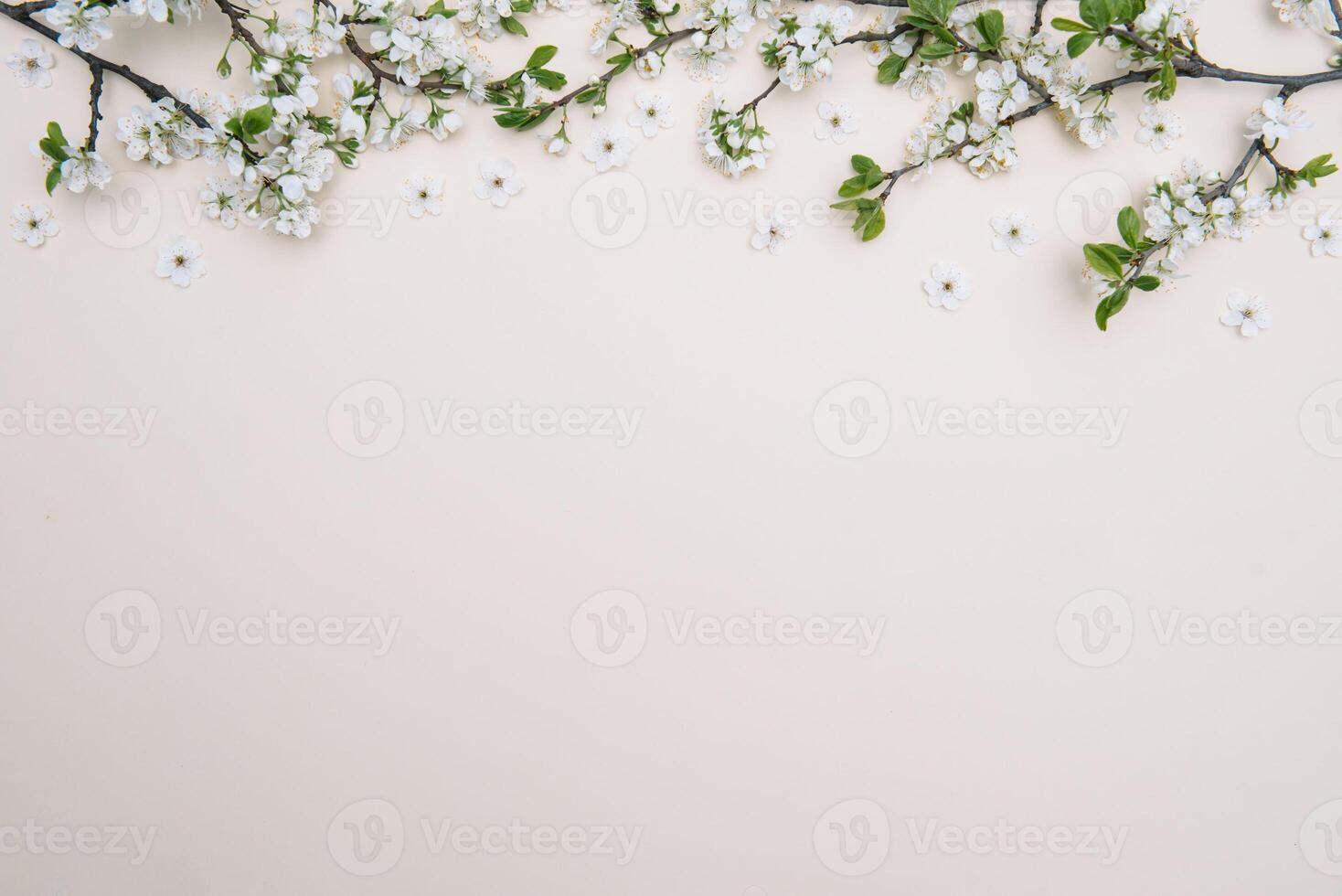 Spring nature background with lovely blossom in yellow pastel color, top view, banner. Springtime concept photo